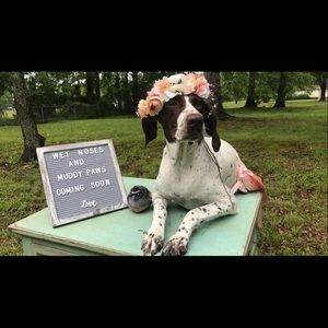 Meet your Posher, Austin